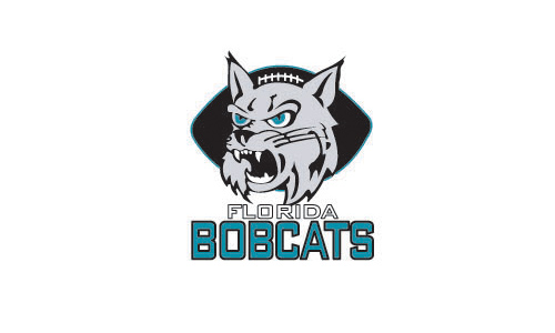 Ժɫʵϻ^ĈD鄓(chung)⣬BOBCATS(bio)־O(sh)Ӌ(j)