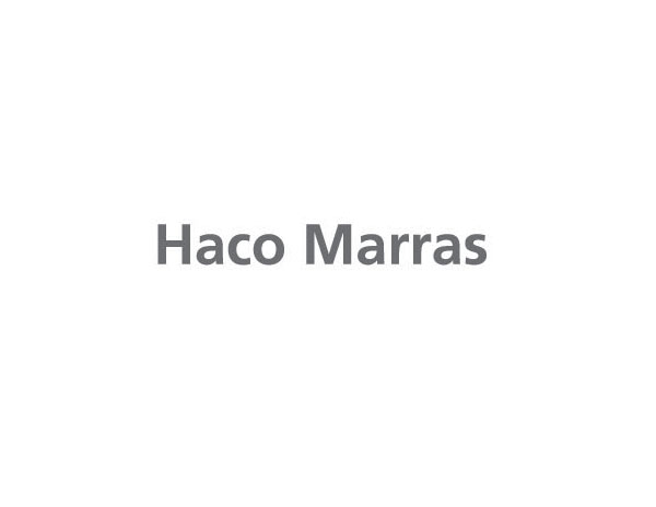 Haco MarrasЈ(chng)ԃ˾LOGOO(sh)Ӌ(j)