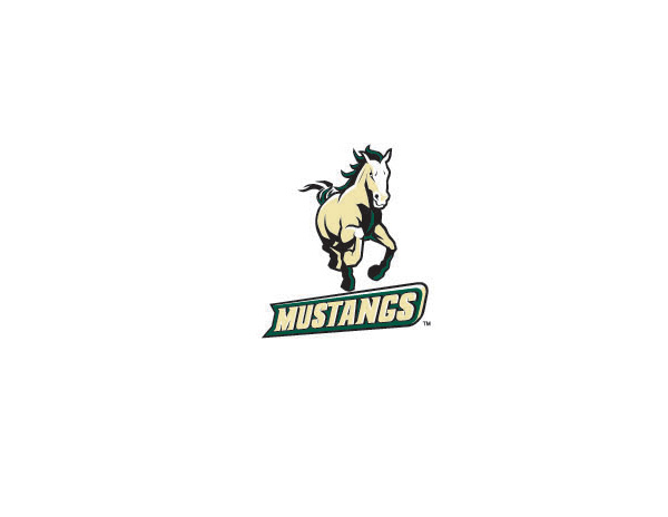 MUSTANGS˾